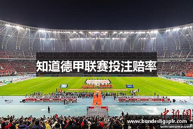 知道德甲联赛投注赔率